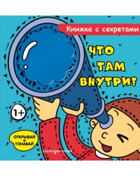 Что там внутри?