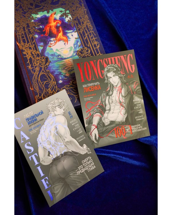 Дополнительное изображение книги «Юаньфэнь. Тушить пламя души крыльями бабочки»