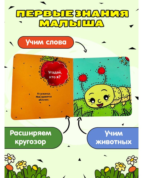 Что там внутри?