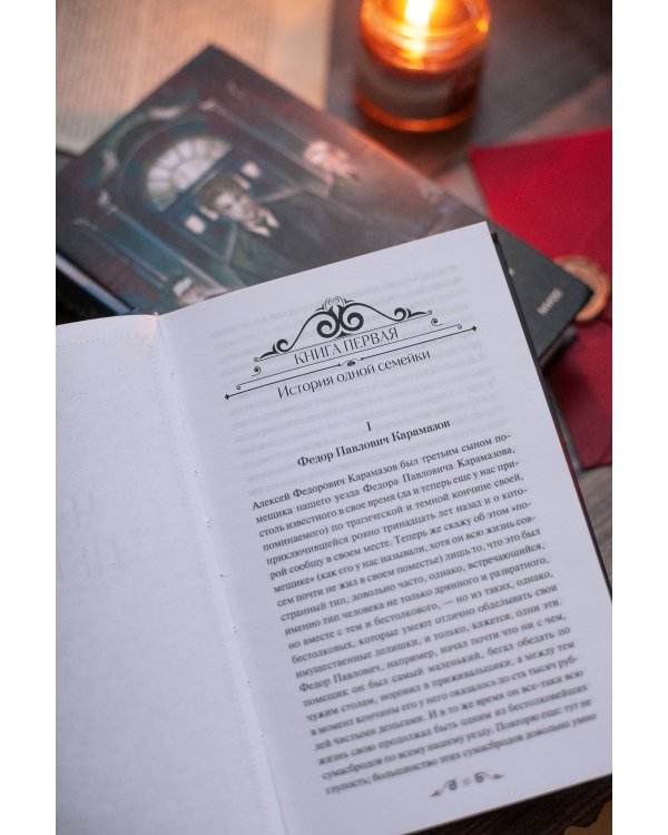 Братья Карамазовы. Том 1. Вечные истории. Young Adult