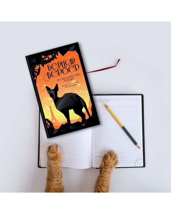 Ее величество кошка