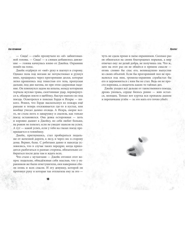 Bullet Echo. Эхо пламени
