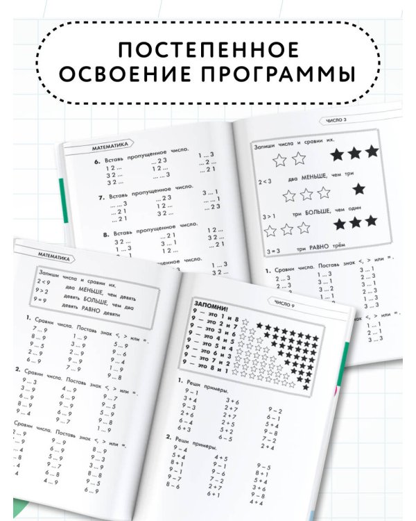 Полный курс обучения. 1 класс. Математика. Русский язык