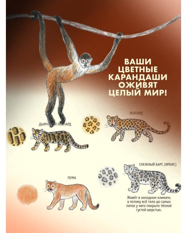 Школа рисования для начинающих: милые животные