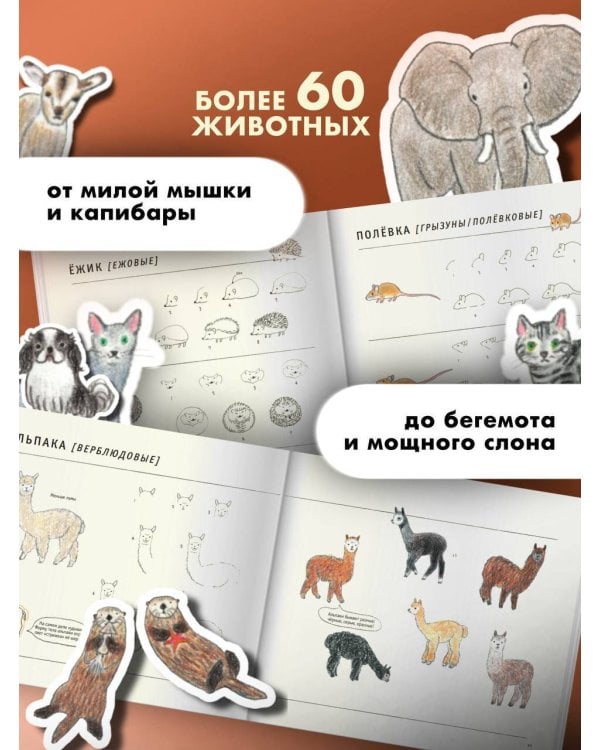 Школа рисования для начинающих: милые животные
