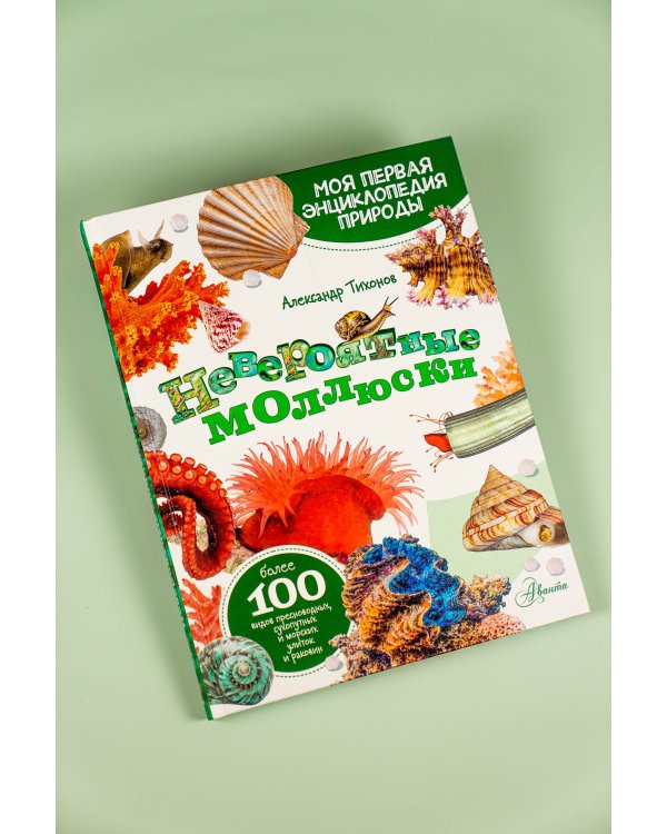 Невероятные моллюски