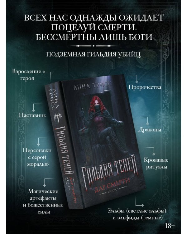 Дополнительное изображение книги «Гильдия теней. Дар смерти. Книга 1»