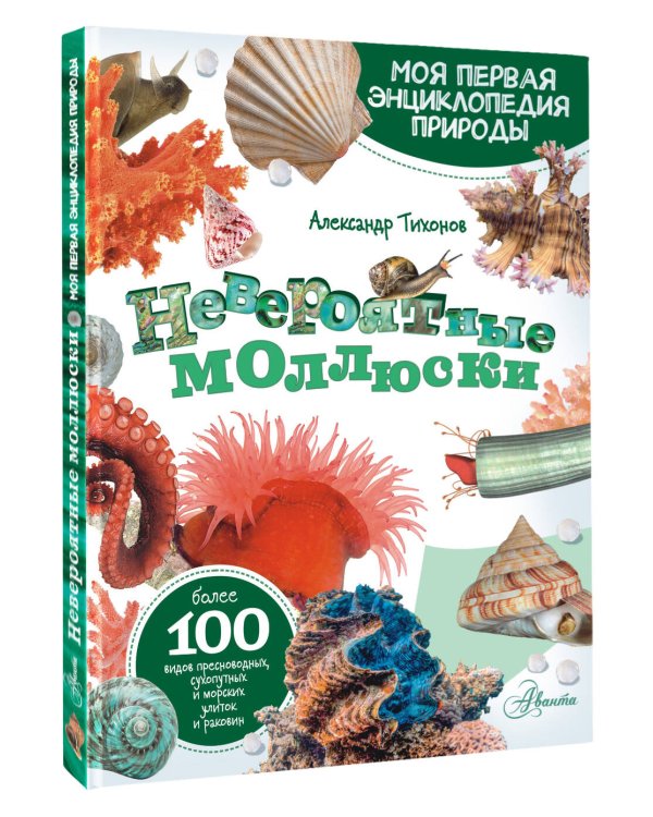Невероятные моллюски