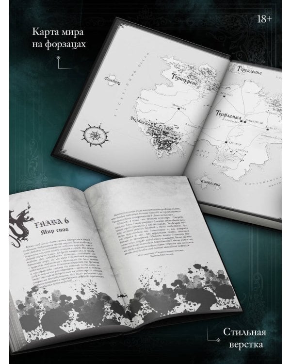 Дополнительное изображение книги «Гильдия теней. Дар смерти. Книга 1»