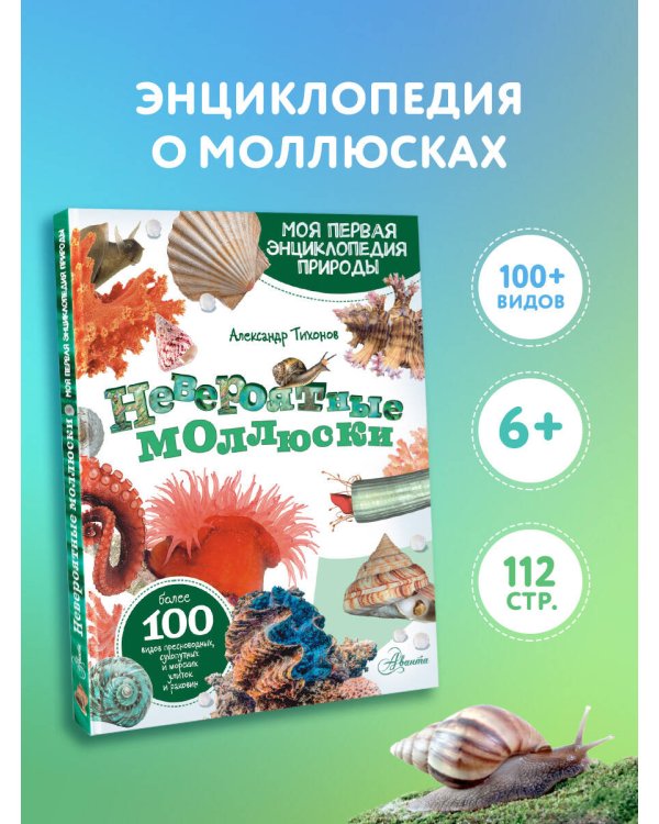 Невероятные моллюски