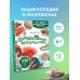 Невероятные моллюски