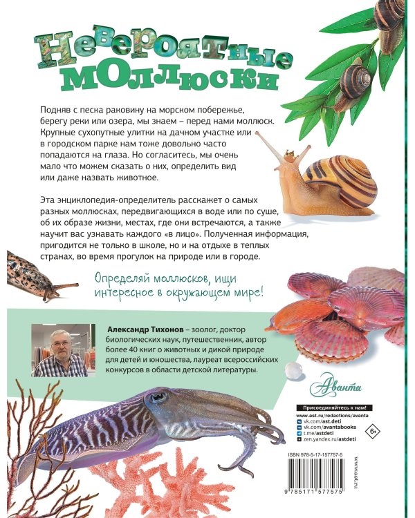 Невероятные моллюски