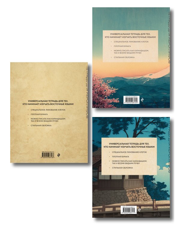 Комплект из 3-х тетрадей для иероглифов (ИК)