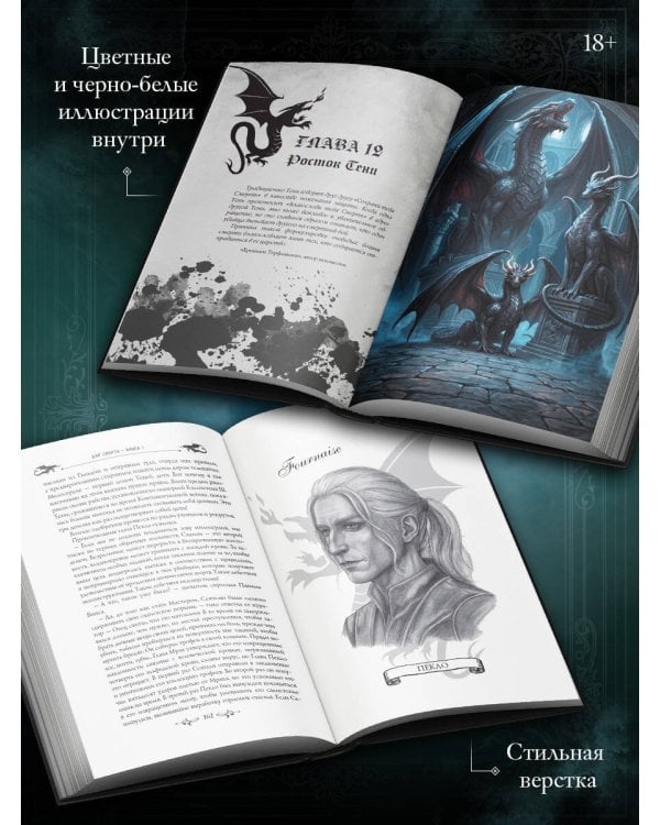 Дополнительное изображение книги «Гильдия теней. Дар смерти. Книга 1»