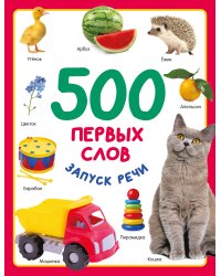 500 первых слов