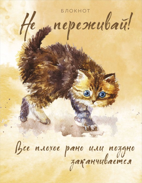 Утренние страницы. Mindfulness Блокнот. Не переживай! Все плохое рано или поздно заканчивается