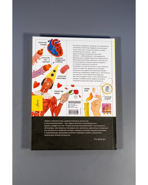 Человек. Исследуем тело и мозг человека