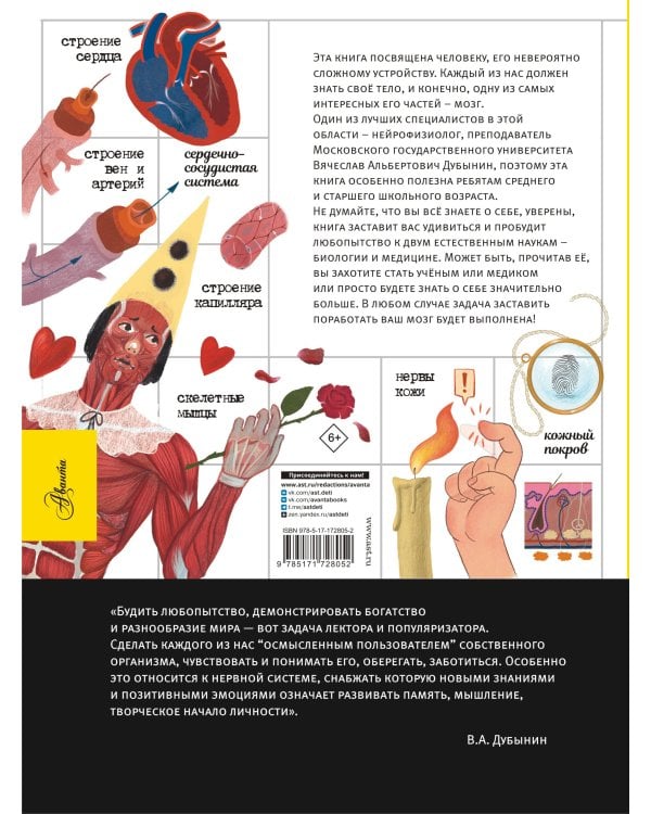 Человек. Исследуем тело и мозг человека