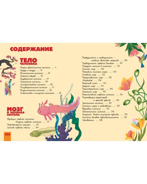 Человек. Исследуем тело и мозг человека