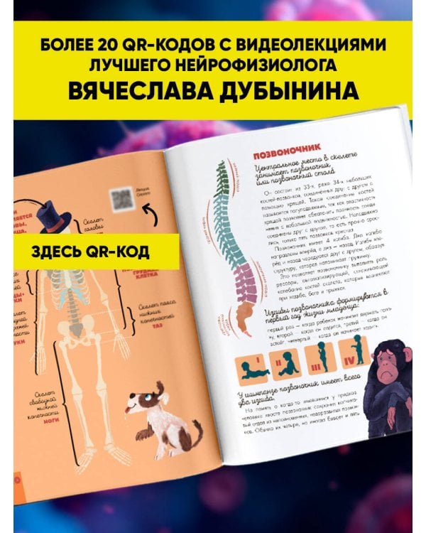 Человек. Исследуем тело и мозг человека