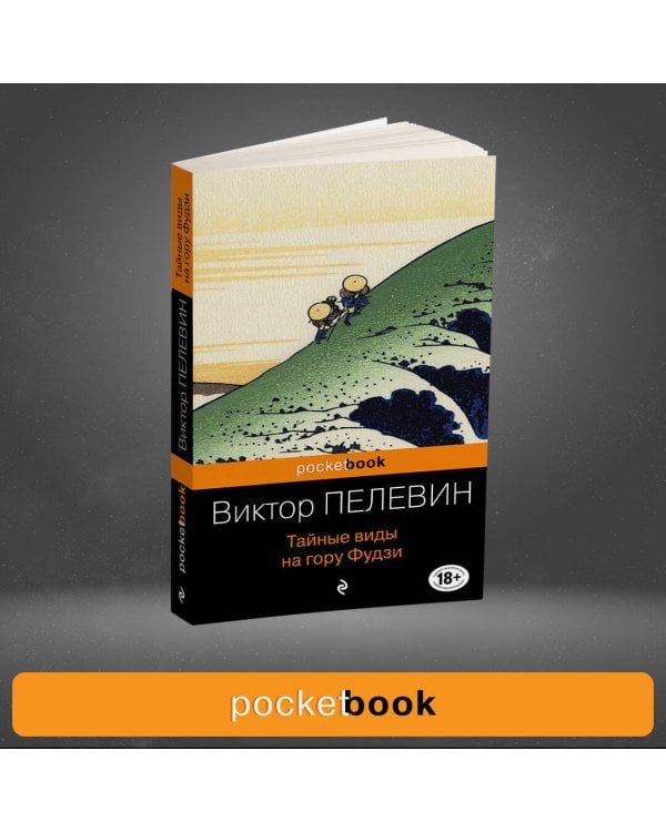 Дополнительное изображение книги «Тайные виды на гору Фудзи»