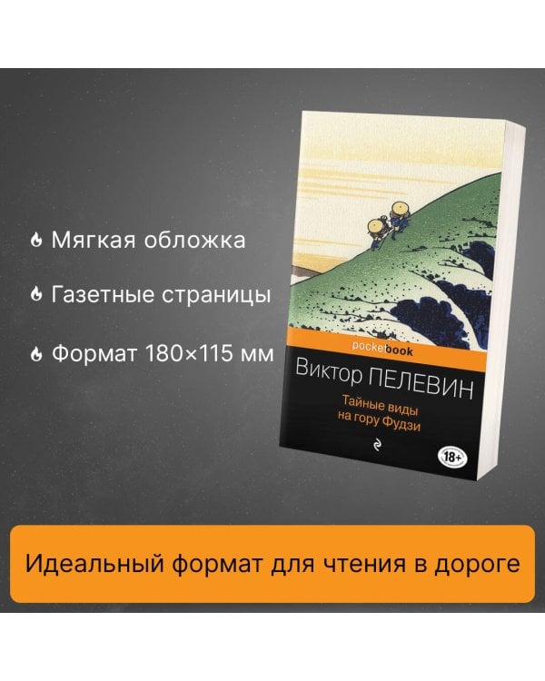 Дополнительное изображение книги «Тайные виды на гору Фудзи»