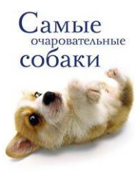 Самые очаровательные собаки