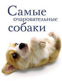 Самые очаровательные собаки