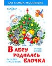 ДСМ "В лесу родилась елочка"