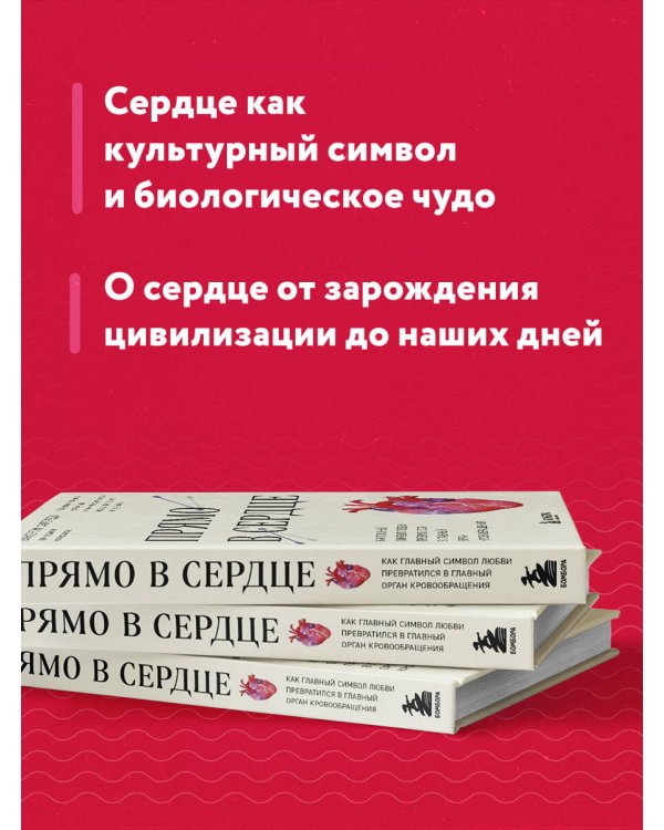 Прямо в сердце. Как главный символ любви превратился в главный орган кровообращения