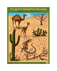 Плакат. Кто долго обходится без воды