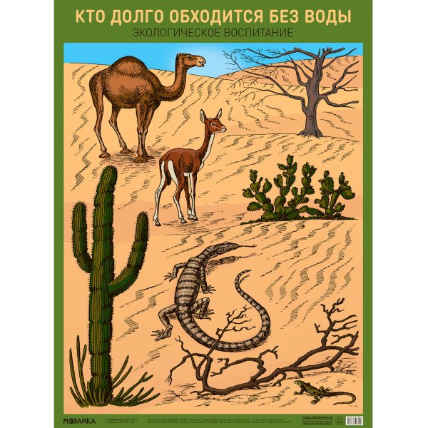 Обложка книги «Плакат. Кто долго обходится без воды», ISBN 9785431527050