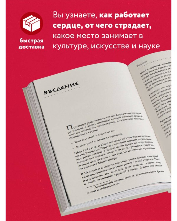 Прямо в сердце. Как главный символ любви превратился в главный орган кровообращения