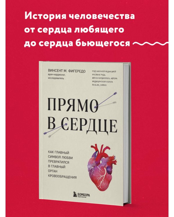 Прямо в сердце. Как главный символ любви превратился в главный орган кровообращения