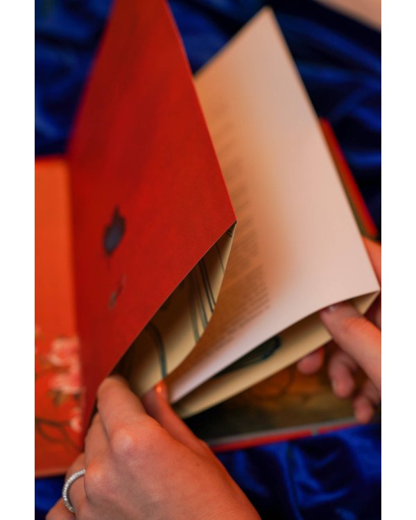 Мадам Баттерфляй