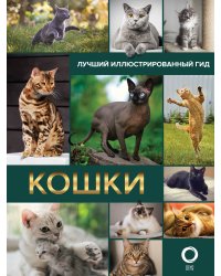 Кошки. Лучший иллюстрированный гид