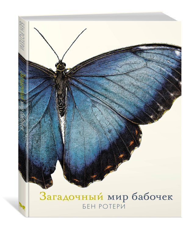Дополнительное изображение книги «Загадочный мир бабочек»