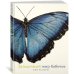 Дополнительное изображение книги «Загадочный мир бабочек»