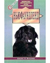 Ньюфаундленд