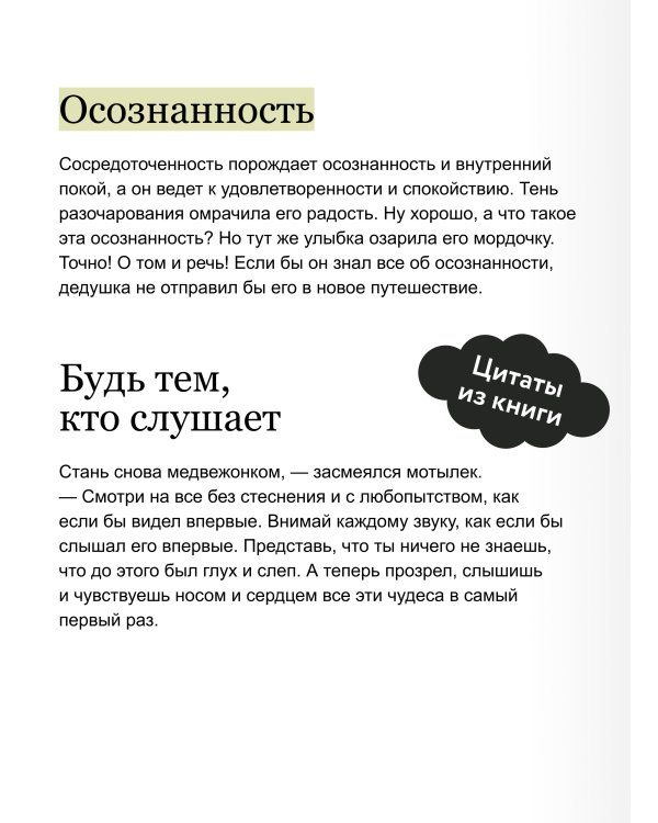 Дополнительное изображение книги «Маленькая панда Бао и красота в мелочах: теплая история об искусстве быть здесь и сейчас»