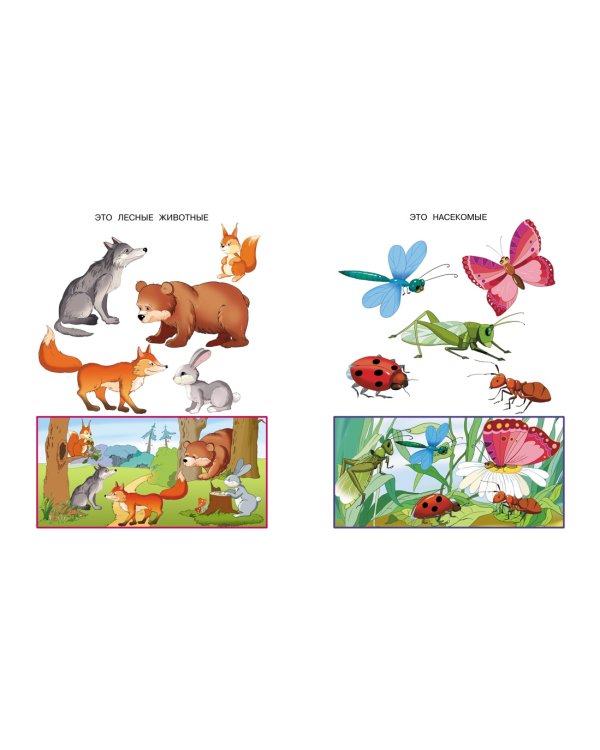 Что нас окружает (2-3 года)