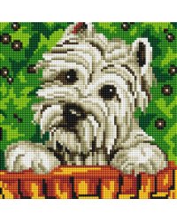 470-ST-PS Давай играть