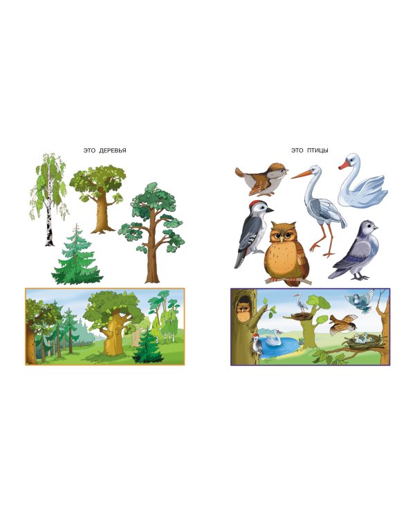 Что нас окружает (2-3 года)