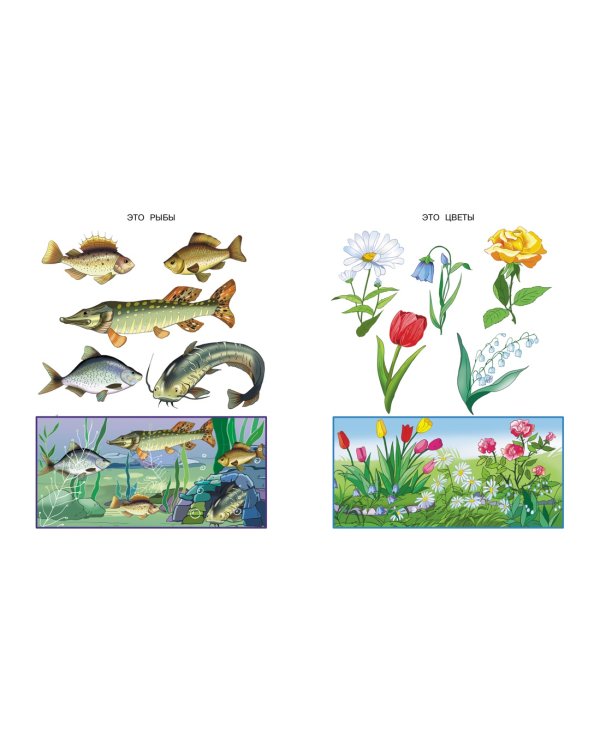 Что нас окружает (2-3 года)