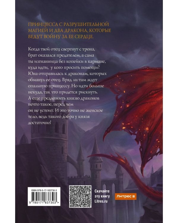 Дополнительное изображение книги «Драконы четырех стихий»