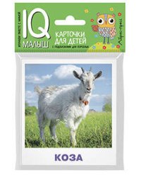 Умный малыш. Домашние животные