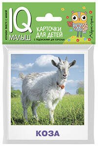 Умный малыш. Домашние животные