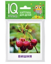 Умный малыш. Что растёт в саду?