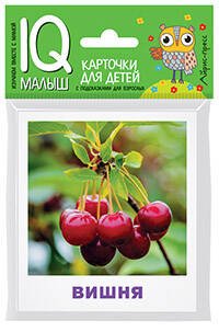 Умный малыш. Что растёт в саду?