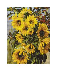 706-BK-S Отражения солнца